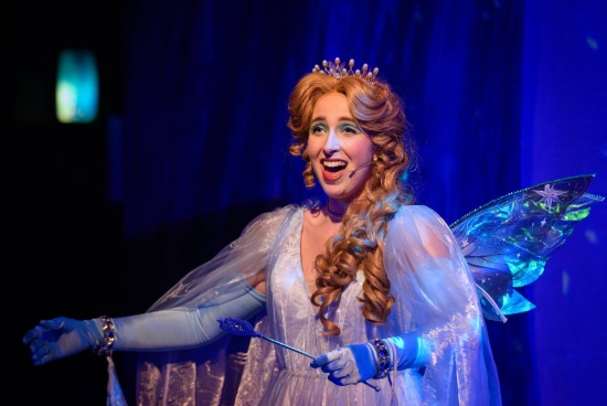 Pinocchio Panto - The Customs House